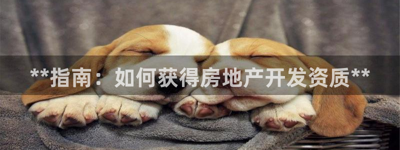 永利中国