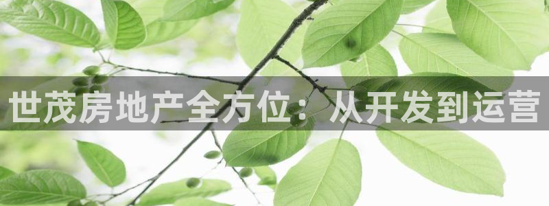 永利箱包厂