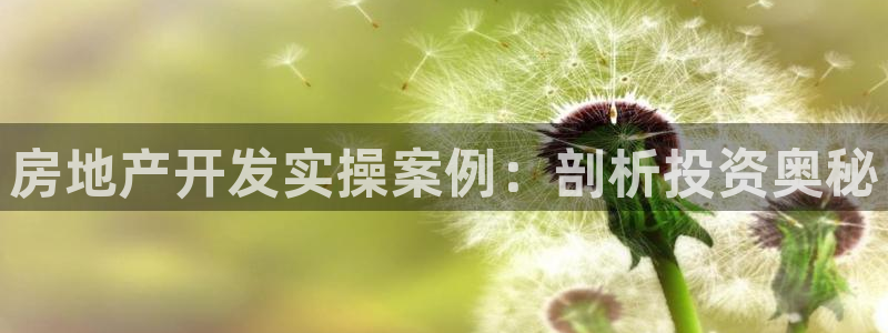 澳门永利集闭游误乐