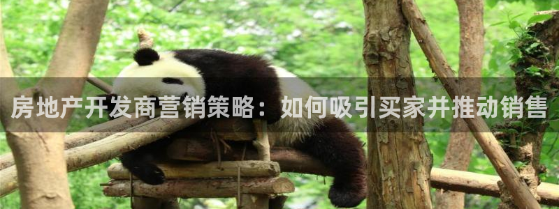 永利股份产品介绍