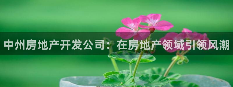 永利宝高管