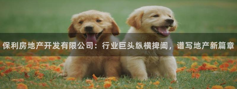 永利皮革有限公司地址