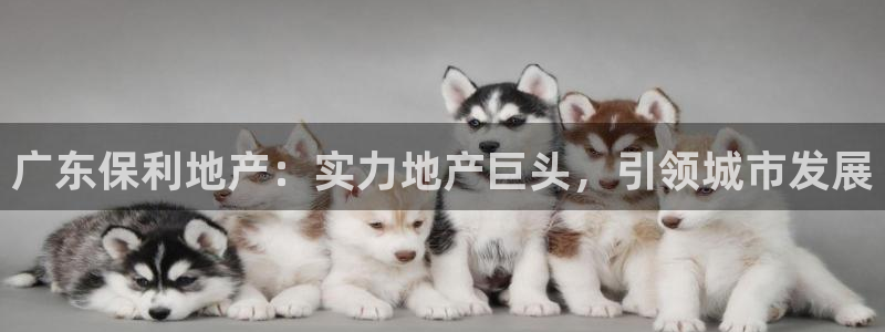 永利现场