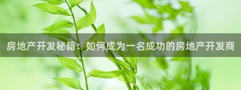 永利积分卡的级别
