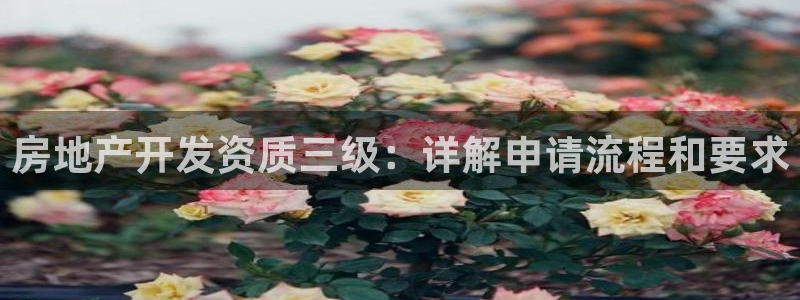 永利官网可信吗