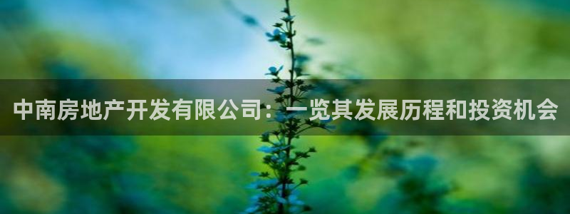 永利网输了几十万