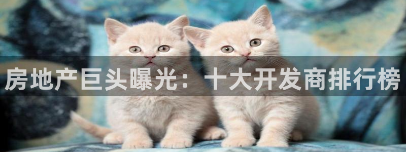 永利房地产有限公司怎么样