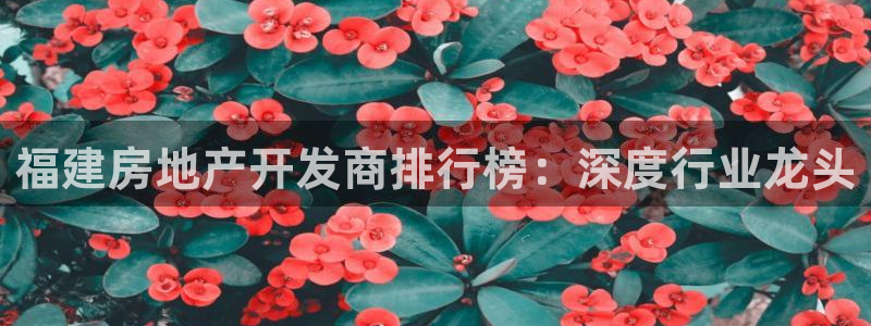 永利汇茶具怎么样