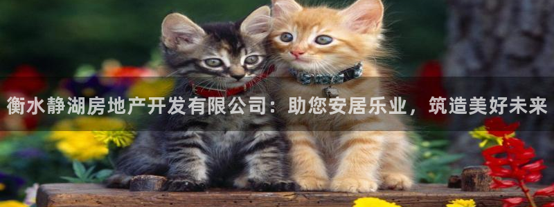 永利中国