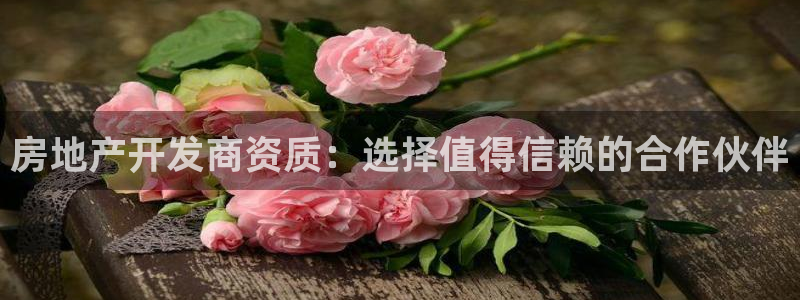 永利带业怎么样