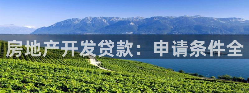 永利皮带型号说明书