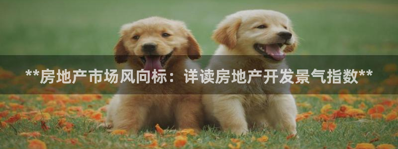 永利运动鞋是几几年出的