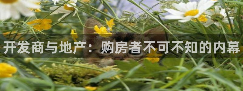 澳门永利吴乐城