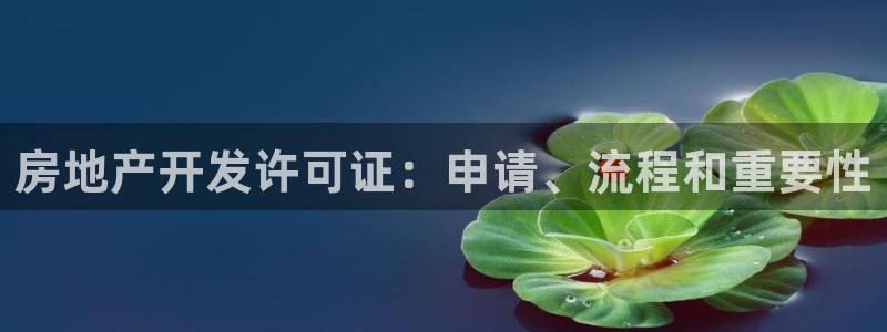 3044am永利集团公司背景