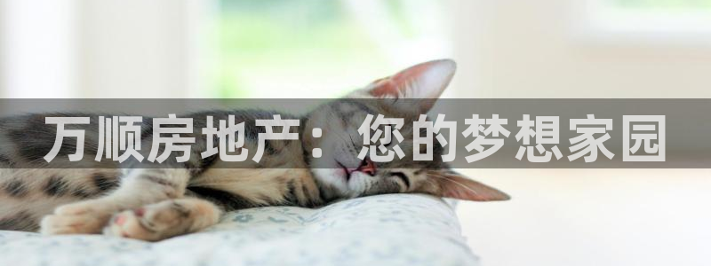 永利股份两大最新消息是什么