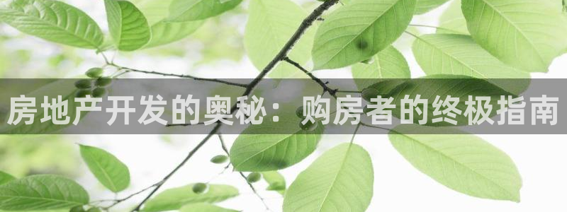 永利百货