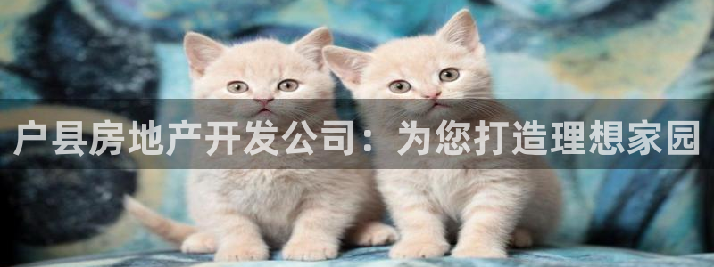 永利皮带官网旗舰店
