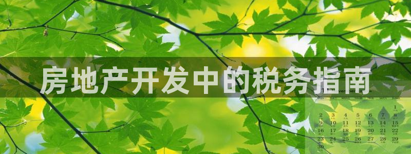 永利 陈志玲