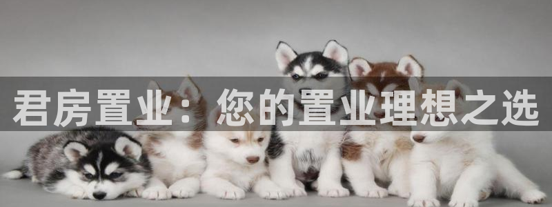永利输的钱可以弄回来吗现在