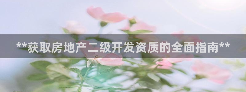 永利皮带型号说明图解