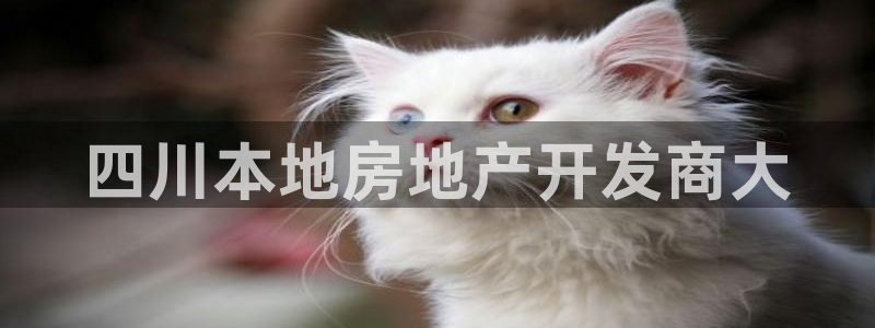 永利皮带报价