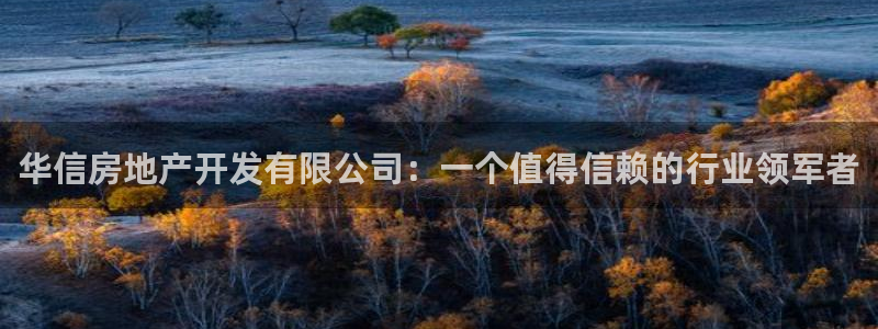 永利玩法