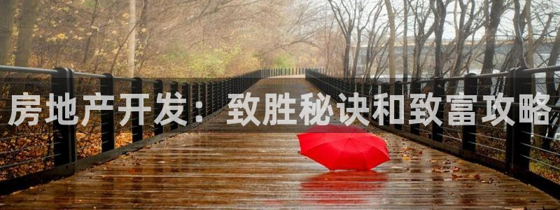 永利传送带业务