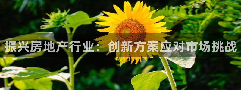 3044am永利集团 官网