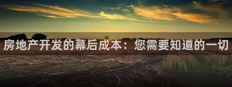 永利皮革