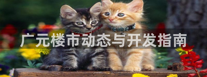 永利中国东北菜