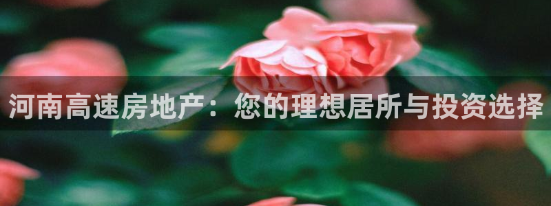 滨州永利篮球俱乐部老板