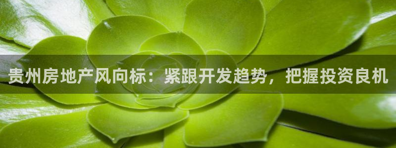 永利工艺品有限公司