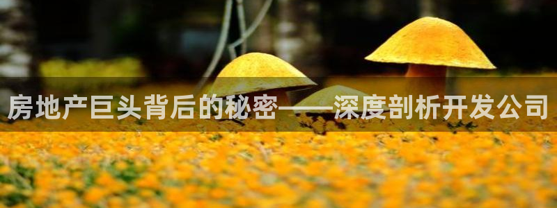 永利汇茶具怎么样