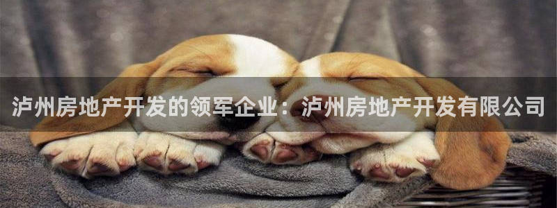 永利总裁