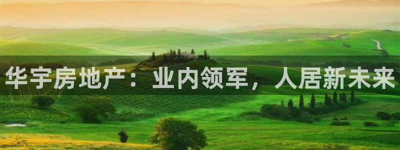 绍兴永利集团董事长