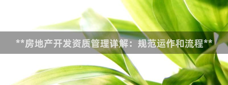 永利官方网招聘最新消息