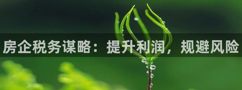 永利表行是正品吗