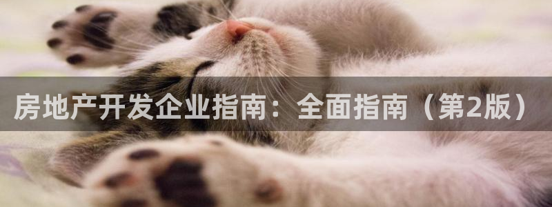 永利投资合法吗