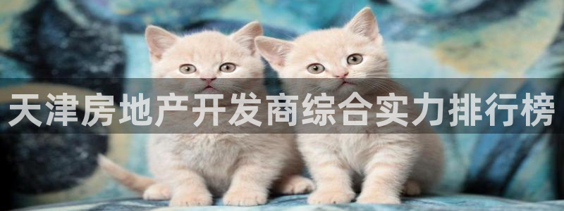 永利正版