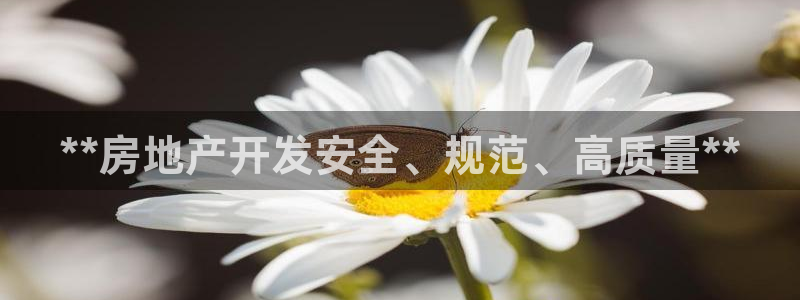 永利输送带