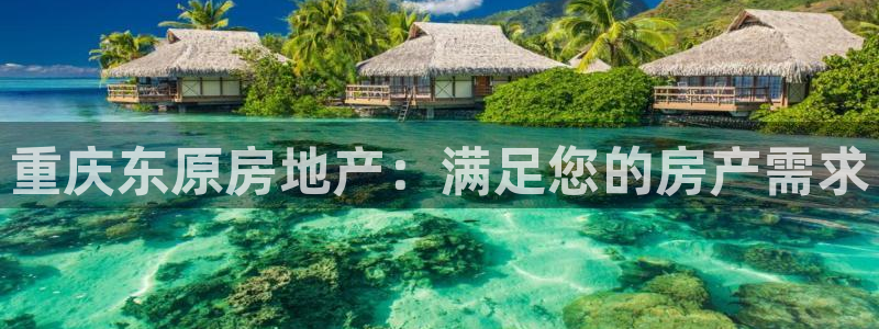 浙江永利集团