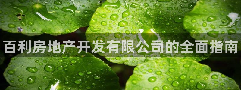永利集团简介及地址