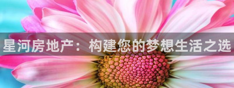 永利 股票
