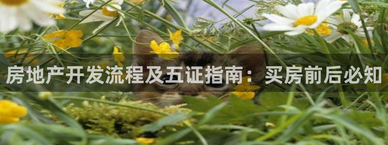 广州永利汇