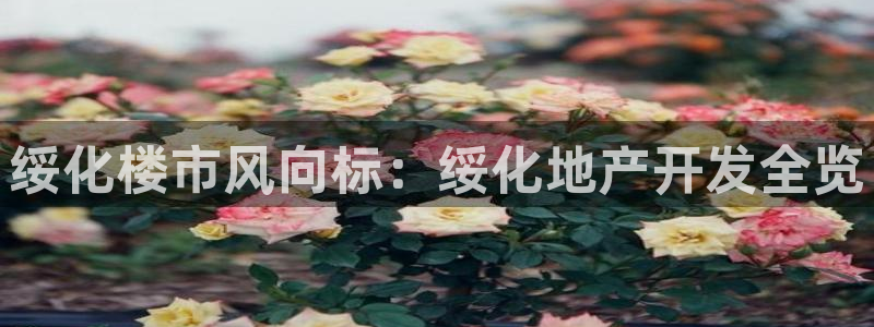 永利会员卡级别及福利