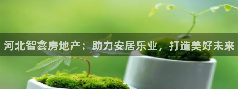 永利厂牌