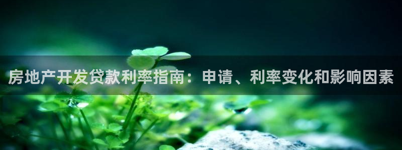 永利睹钱