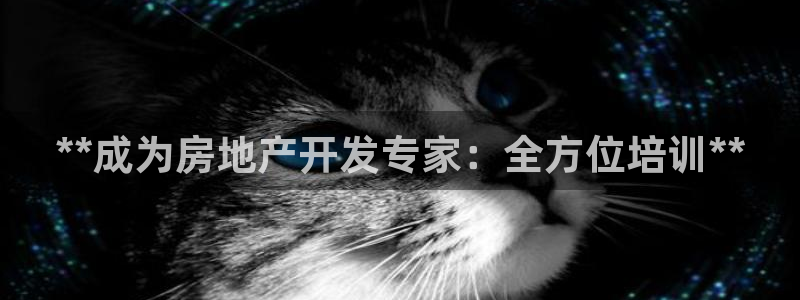 永利官方网招聘最新消息