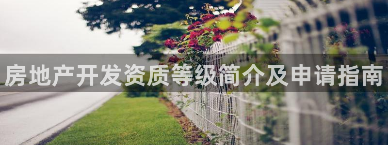 永利集团董事长
