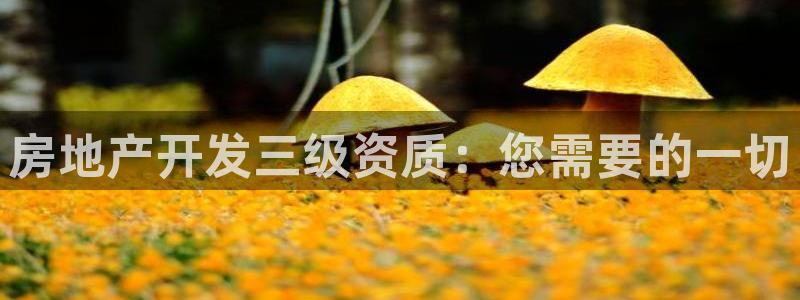 永利创始人
